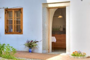 Read more about the article Bio-Rindfleisch vom Waldviertler Blondvieh am 16. Juni